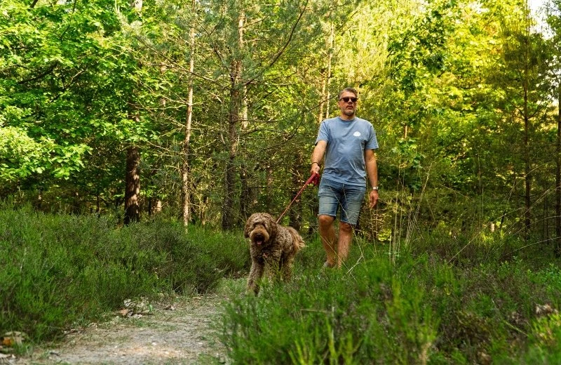 Wandelen in omgeving Epe
