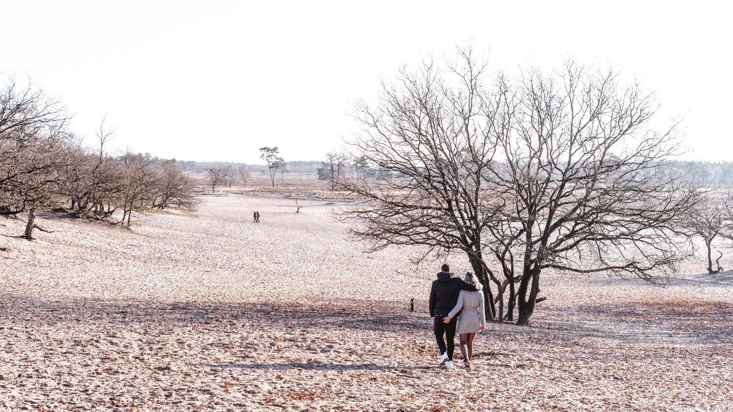 Wandelen op de Veluwe Wandelaars op de Veluwe